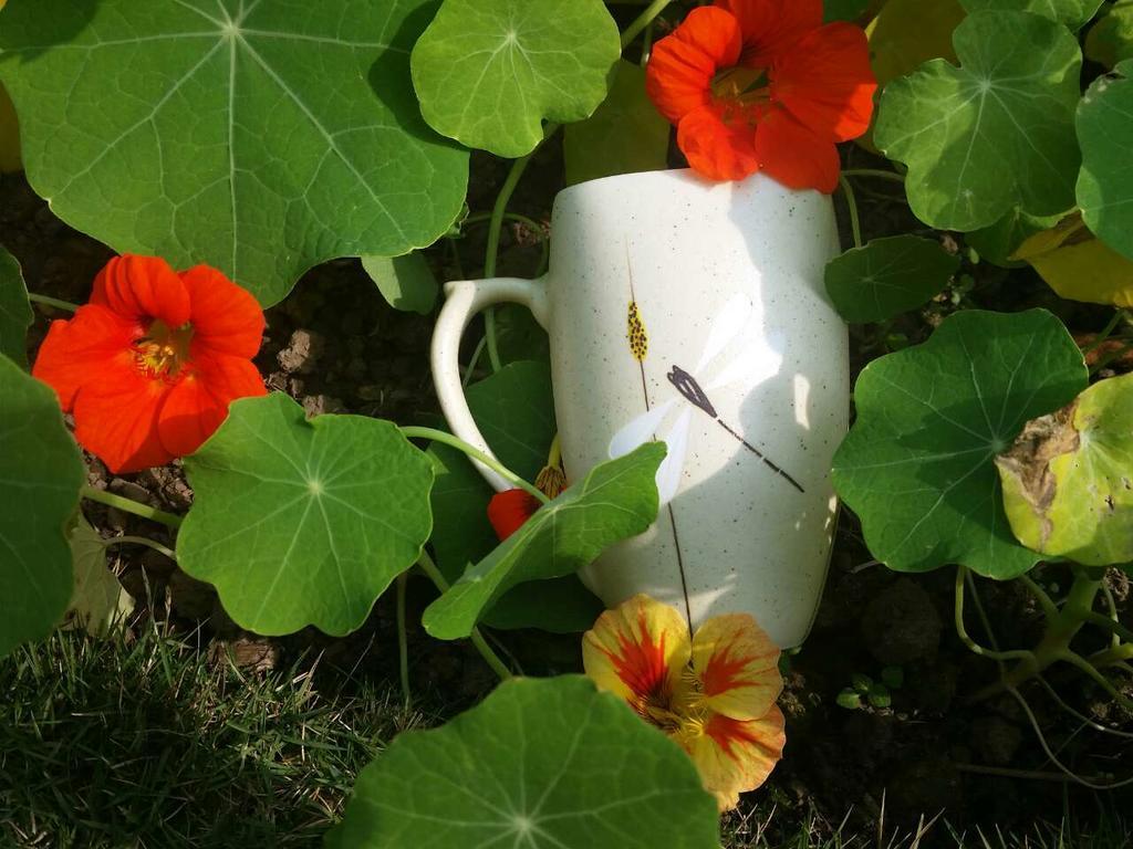 Mingtang Garden Cottage 名堂花园度假屋 Pokhara Kültér fotó