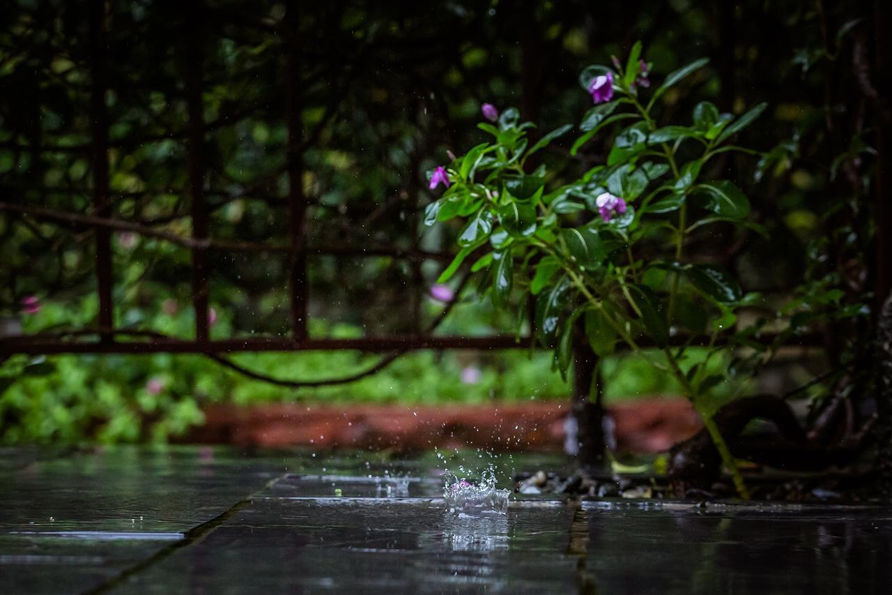 Mingtang Garden Cottage 名堂花园度假屋 Pokhara Kültér fotó