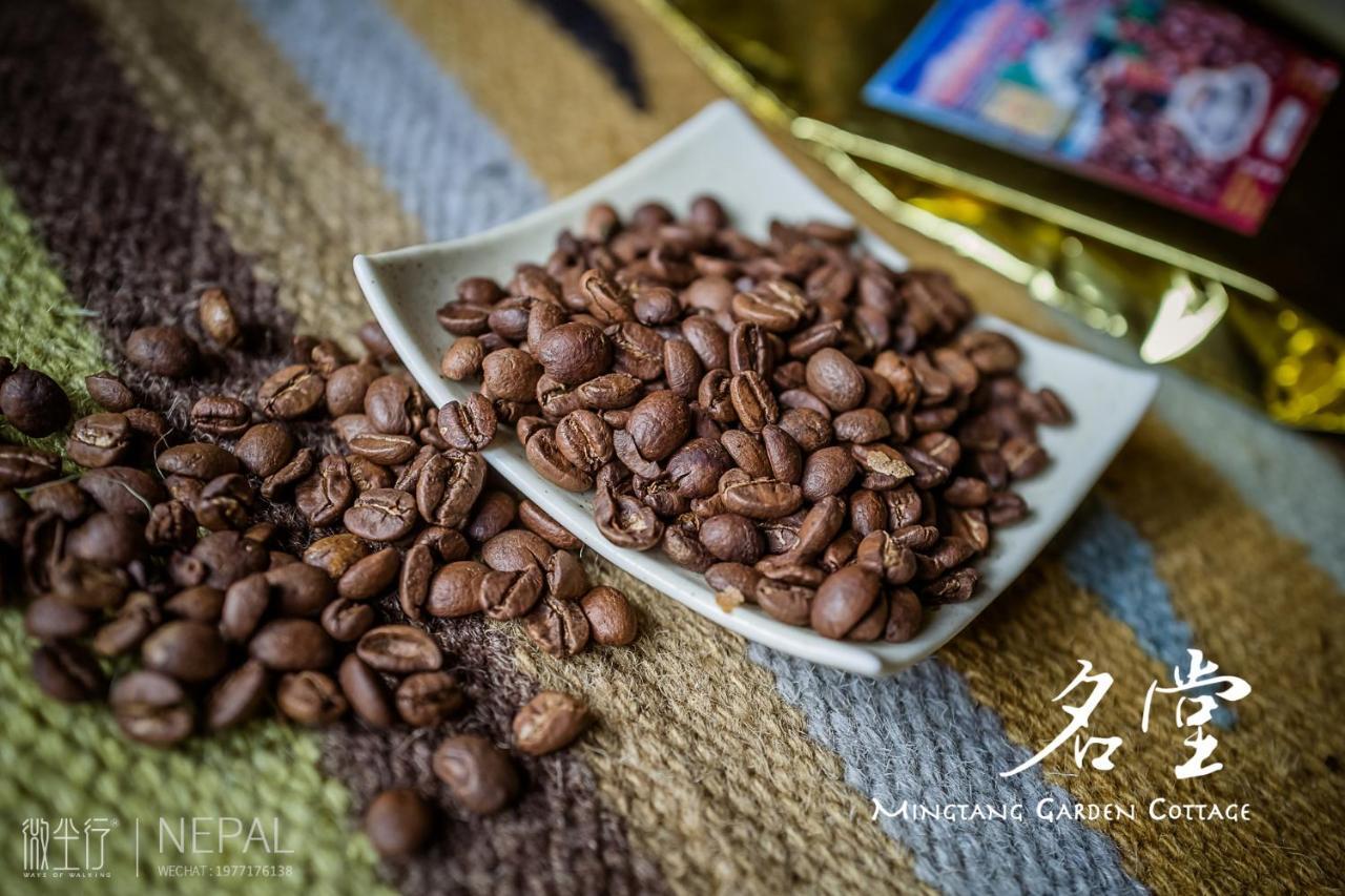 Mingtang Garden Cottage 名堂花园度假屋 Pokhara Kültér fotó